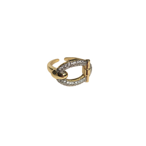 Shiny Ring