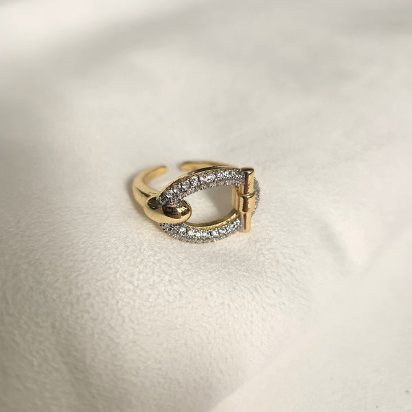 Shiny Ring