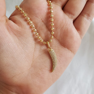 Shiny Horn Necklace