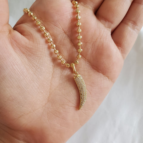 Shiny Horn Necklace